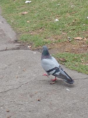 IMG_20230310_102540.jpg