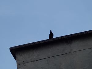 IMG_20250328_123420.jpg
