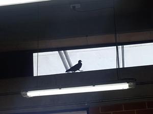 IMG_20250423_104333.jpg