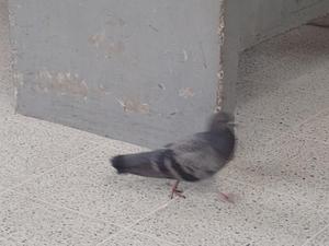 IMG_20250616_101500.jpg