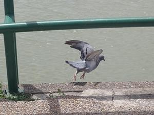 IMG_20250626_121827.jpg